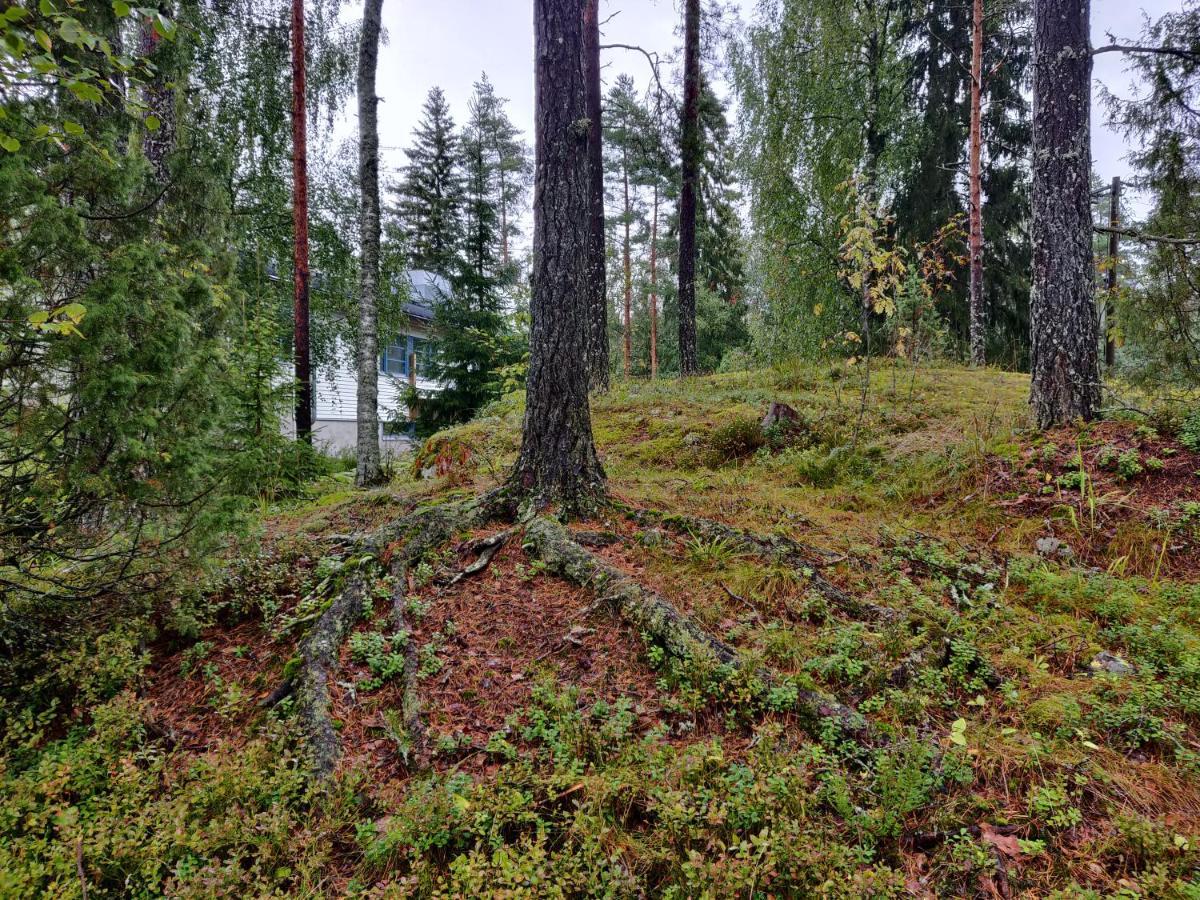 Polku Hotelli Vihti Buitenkant foto