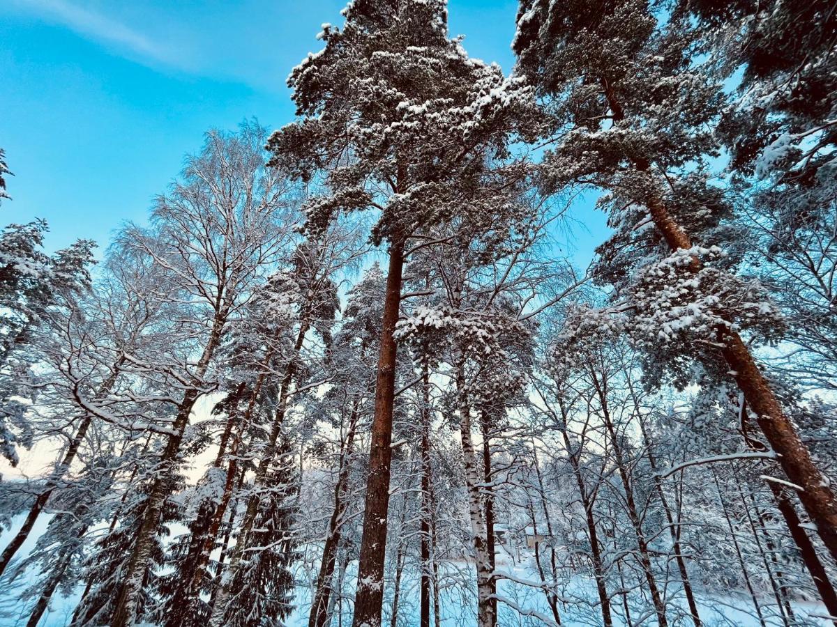 Polku Hotelli Vihti Buitenkant foto