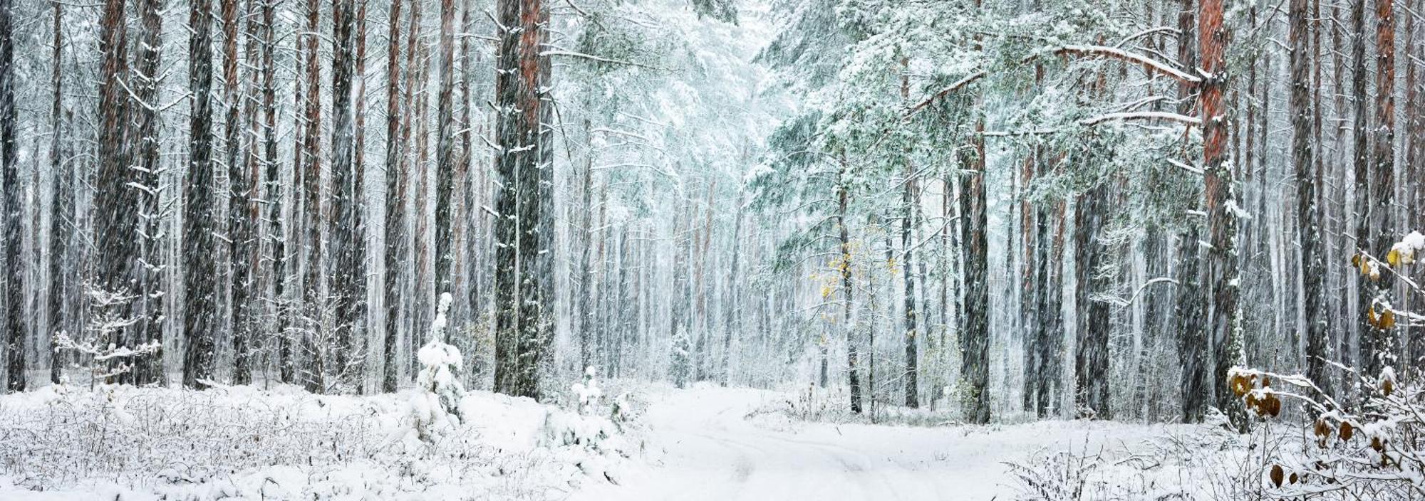 Polku Hotelli Vihti Buitenkant foto