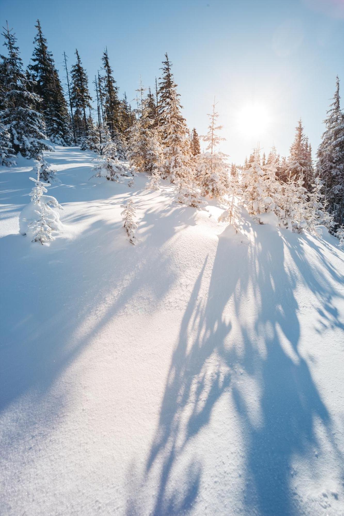 Polku Hotelli Vihti Buitenkant foto